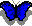 butterfly1.gif (252 bytes)