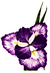 flower10.gif (6415 bytes)